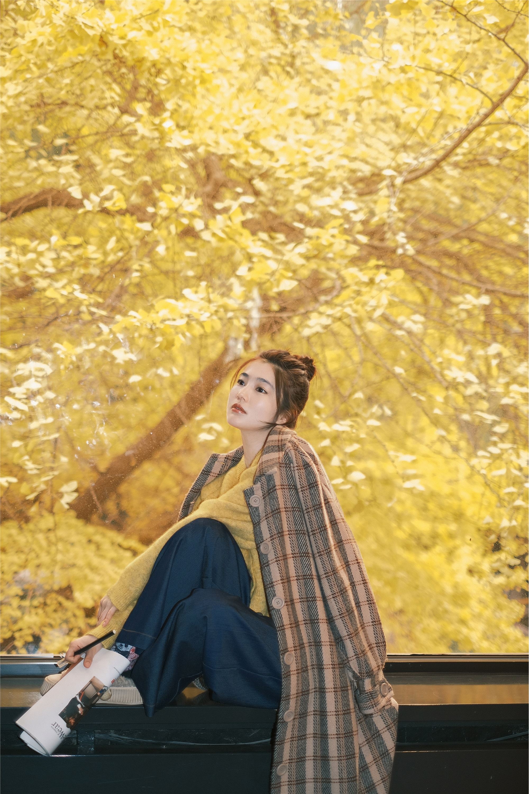 YITUYU艺图语 2025.01.26 窗边秋色 凡凡